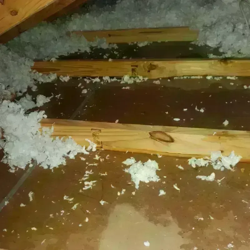 Attic Water Damage in Collinsville, CT